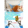 Phoenix Cat Hammock, Cat Mesh Hammock, For Small Animals, Breathable,