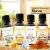 Lean:Life Flavour Drops, Aroma Drops, Vanilla, Vegan, Sugar-Free, Gluten Free,