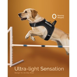 FAYOGOO Service Dog Vest for Large Dogs - Air Mesh Breathble Emotional Support Animal Vest with DIY Removable Patches - Dog Harness and Leash Set Adjustable Neck and Chest(Black,XL)