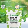 Mighty Mint Rodent Repellent Pest Control, Diatomaceous Earth Peppermint Pest