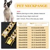 Gold Dog Chain Collar Diamond Cuban Link Dog Collar 13mm