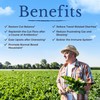 Vitalitown Probiotics 200 Billion CFUs 36 Strains | Shelf Stable,