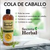 Shampoo Secreto Herbal Anticaída Con Cola De Caballo 1L