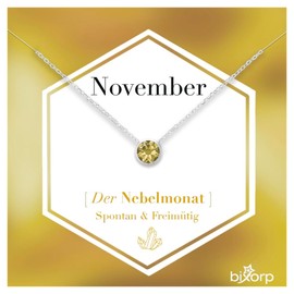 Bixorp Birthstone Necklace with Cubic Zirconia Pendant - Stainless Steel Chain with Round Zirconia Crystal - Gold & Silver, Stainless Steel, Cubic Zirconia