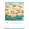 Hagoromo CL25-0466 MINIATURE LIFE CALENDAR 2025 Wall Calendar