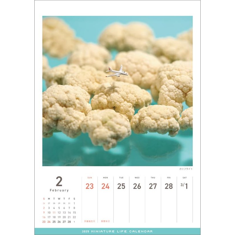 Hagoromo CL25-0466 MINIATURE LIFE CALENDAR 2025 Wall Calendar