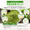 Seeds Wellness Organic Moringa Powder 2.1 oz (60 g) (2