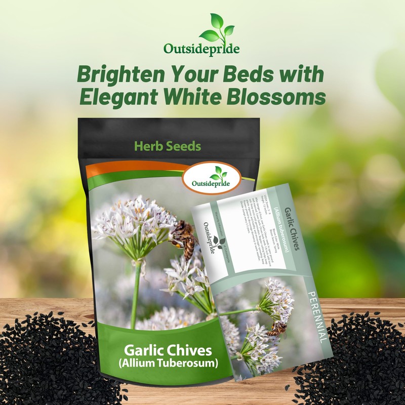 Outsidepride 1/4 lb. Perennial Garlic Chives Herb Garden Seeds for
