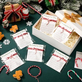 Liliaafar 24 Set Christmas Bracelets Bulk Nylon Friendship Bracelets with Cards Adjustable Woven Rope for Christmas Party Favor (Candy)