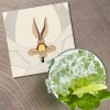 Unbranded Looney Tunes Cartoon Wile E. Coyote 4'' X 4''