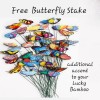 Lucky Bamboo 10 LUCKY BAMBOO PLANTS 4" Free Butterfly Stake,
