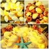 Cynzia Natural Seashells String Lights, 40LED Beach Decoration USB Plug