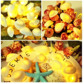 Cynzia Natural Seashells String Lights, 40LED Beach Decoration USB Plug in with 8 Modes Remote Control, Waterproof Ocean Fairy Lights for Bedroom Party Indoor Outdoor Wedding Holiday Christmas