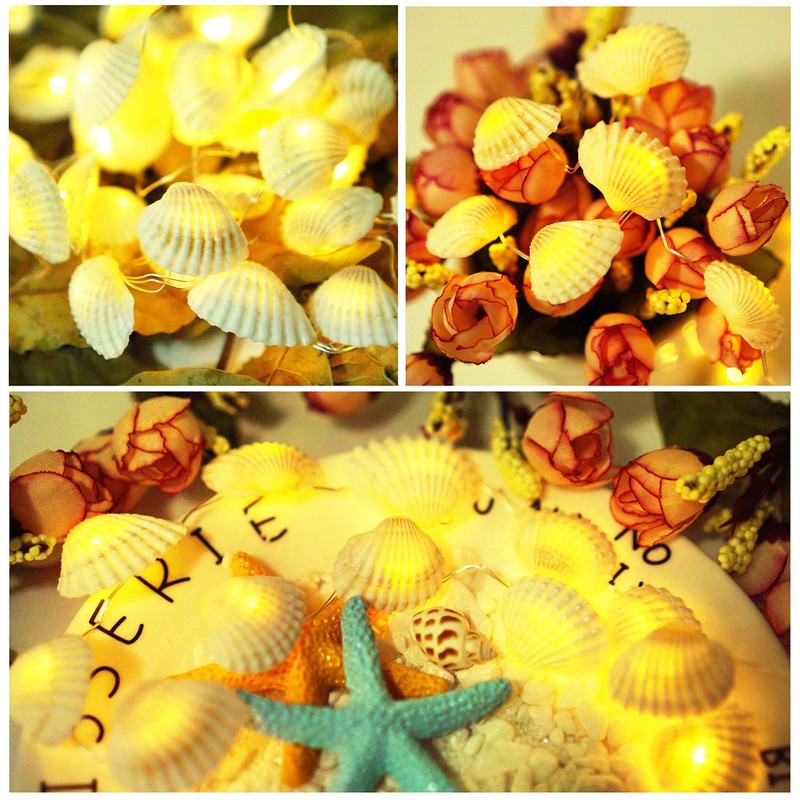 Cynzia Natural Seashells String Lights, 40LED Beach Decoration USB Plug