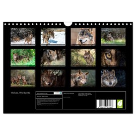 Wolves, Wild Spirits (Wall Calendar 2026 DIN A4 Landscape), CALVENDO 12 Month Wall Calendar: Stunning images of the most legendary predator. (CALVENDO Animals)