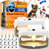 2 Pack Flea Traps for Inside Your Home, Indoor Flea