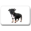 Merchandise for Fans Chihuahua 01 Rectangular Fridge Magnets 5.8 x