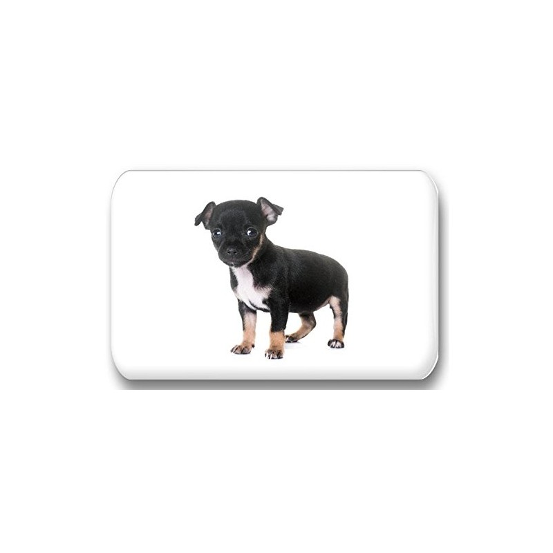 Merchandise for Fans Chihuahua 01 Rectangular Fridge Magnets 5.8 x