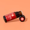Plant Therapy Chakra 1 Grounded Foundation (Root Chakra) Essential Oil