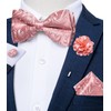 DiBanGu Silk Pink Mens Bow Tie Paisley Pretied Bow Tie