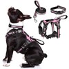 WINSEE Pet Harness Collar and Leash Set, All-in-one Reflective Dog