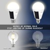 Shinelan 4 Pack LED Solar Emergency Light Bulbs for Home