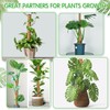 ROADPLUM 102 Inch Moss Pole for Plants Indoor (2*21.7", 2*16.5",