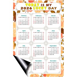 2026 Magnetic Calendar - Calendar Magnets - Today is my Lucky Day - (Fade, Tear, and Water Resistant) - Themed 022 (7 x 10.5)