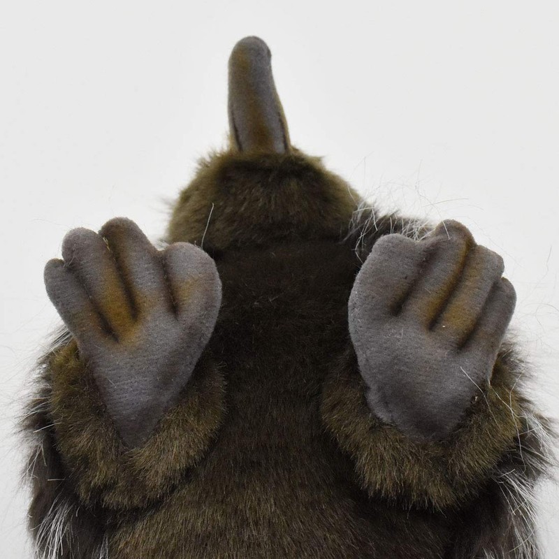 Echidna 11 inches 28cm