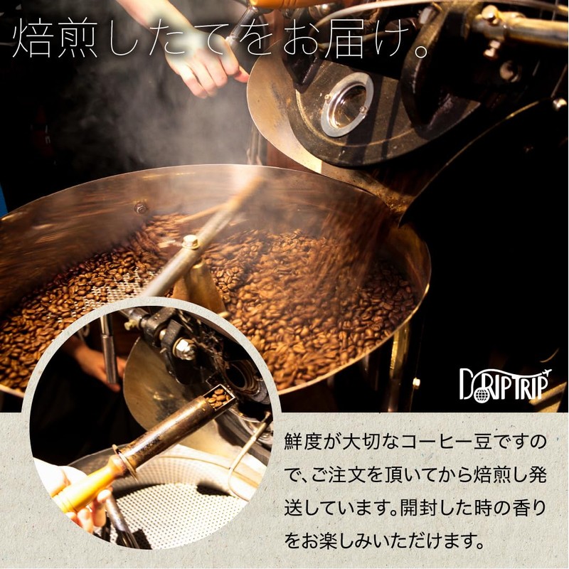 Coffee Beans Kenya AA Q Grade Roasting Selectable Roasting Degree