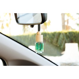 Paradise Scents PINE Car freshener Bottle to Hang