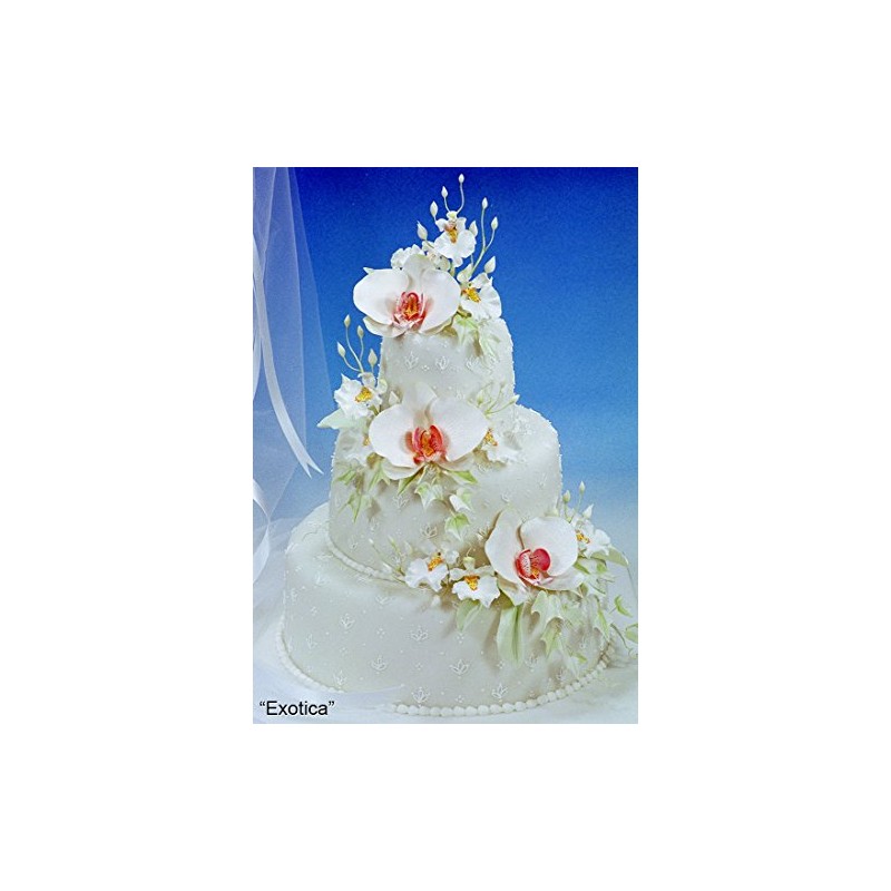 Moth Orchid (Phalaenopsis) Cutter Set by WSA