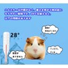 Hamster House, Pottery, Hamster Bed, Hideaway, Cool, Summer, Cooling, Cooling