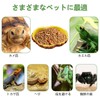 PAVIKE Reptile Bait Food Bowl Reptile Water Tray Reptile Feeding