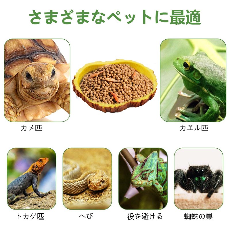 PAVIKE Reptile Bait Food Bowl Reptile Water Tray Reptile Feeding