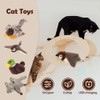 JIGCEN Flying Bird Cat Toys for Indoor Cats, Interactive Chirping