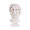 Alexander The Great of Macedonia Bust Greek Statue Figure 6