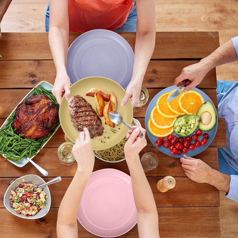 Taasmoog Pack of 6 Plates, Unbreakable & Robust Dinner Plates,