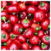 Everwilde Farms - 1/4 Lb Red Cherry Hots Hot Pepper