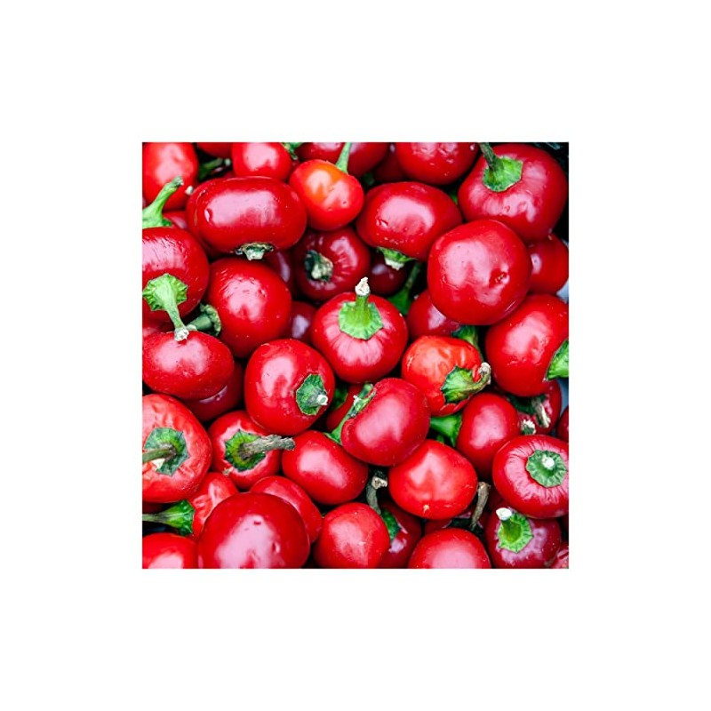 Everwilde Farms - 1/4 Lb Red Cherry Hots Hot Pepper