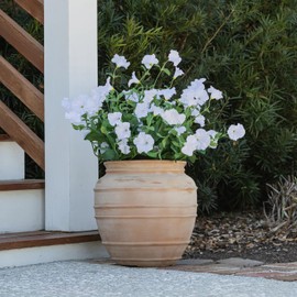 Celestial Lights Artificial Petunia Urn Filler Flowers with Green Vines, 6.75in Height, 8in Base (White)