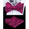 Alizeal Men Self-tied Paisley Bow Tie and Pocket Square Set,