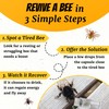 Revive a Bee Gold Bee Revival Kit, Keyring with Sugar