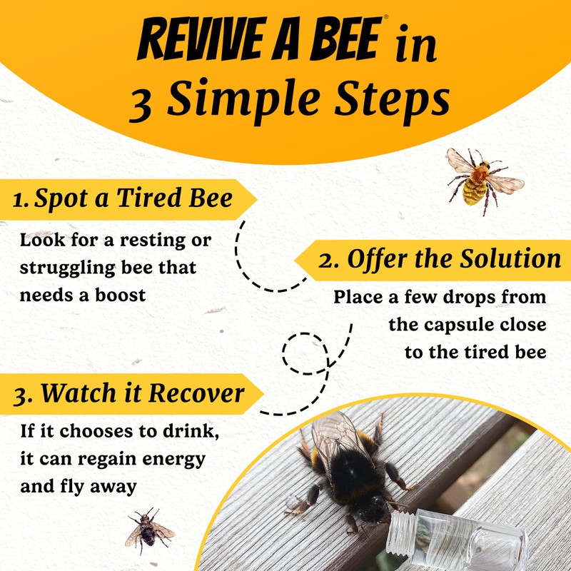 Revive a Bee Gold Bee Revival Kit, Keyring with Sugar
