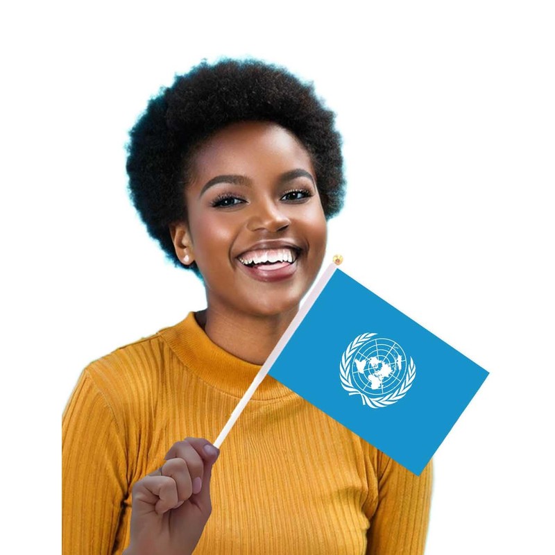 25 Packs Small United Nations Flags on Handheld Stick，Miniature United