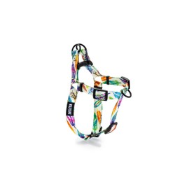 Wolfgang Premium No-Pull Dog Harness for Small Medium Large Dogs, Made in USA, FeatheredFriend Print, Medium (5/8 Inch x 16-24 Inch)