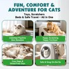 Catnip Spray for Cats with Silvervine, Enhance Playtime & Relaxation,