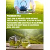 TAOindustry Lotus Tea 4oz Green Tea with the aroma of