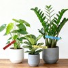 500 Pcs White Plastic Plant Tree Tags Nursery Garden Lables