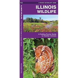 Illinois Wildlife: A Folding Pocket Guide to Familiar Animals (Wildlife and Nature Identification)